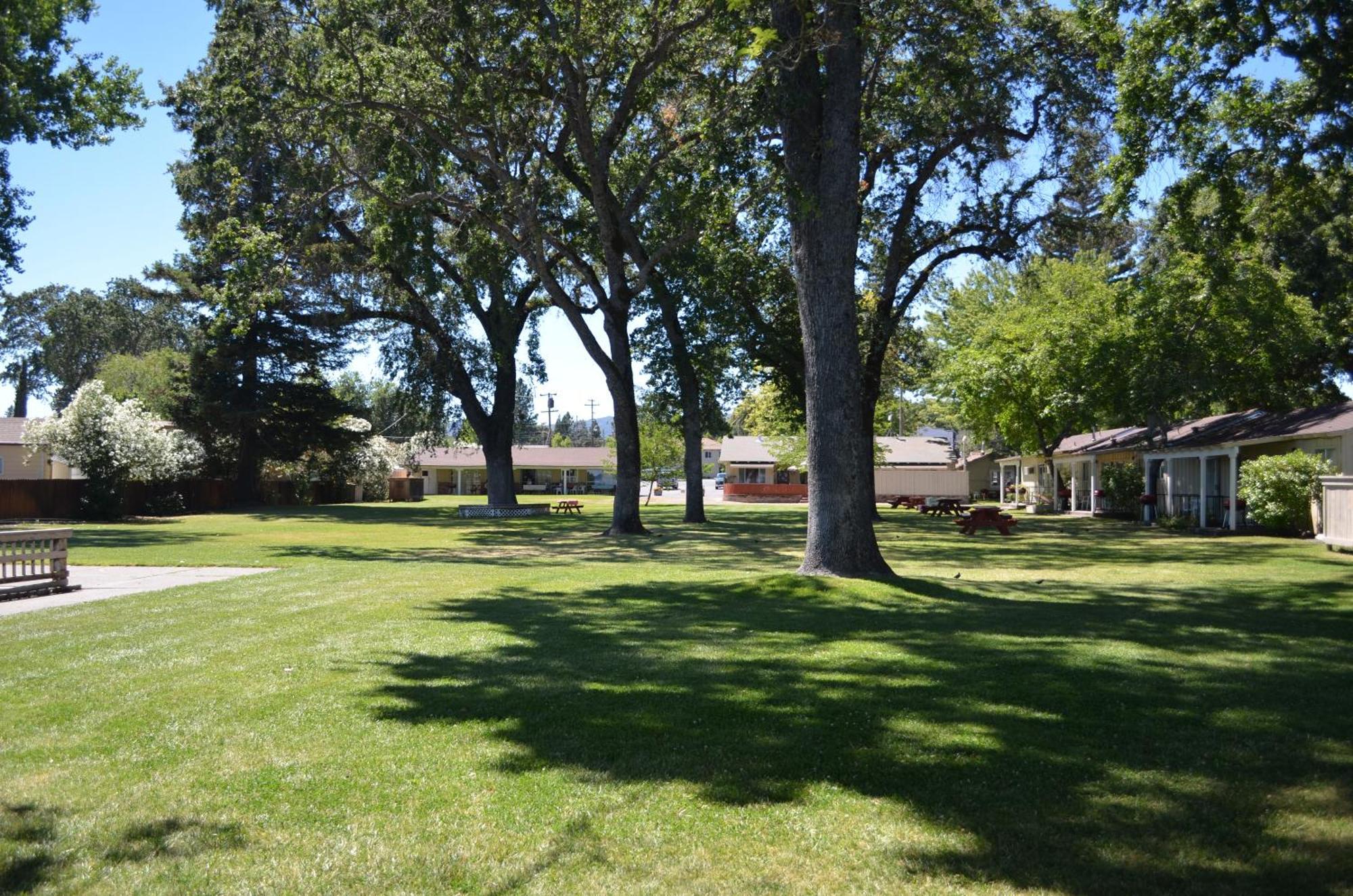 Skylark Shores Resort Lakeport Exterior photo